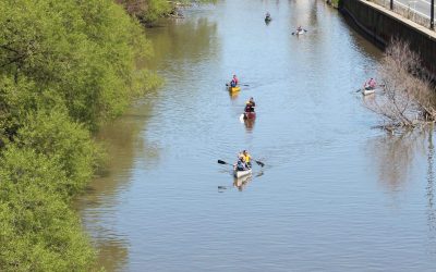 Image of several groups of people canoeing on a river with greenery on the left, and a highway on the right.