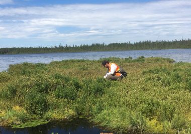 Ecological Services, Image of Terrapex Staff taking samples.